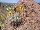 photo thumbnail #3