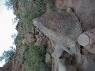 photo thumbnail #10