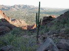 photo thumbnail #12