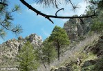 photo thumbnail #11
