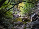 photo thumbnail #1