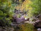 photo thumbnail #2