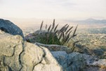 photo thumbnail #6