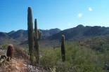 photo thumbnail #2