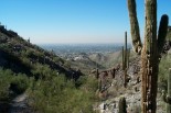 photo thumbnail #5