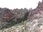 photo thumbnail #7