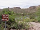 photo thumbnail #1