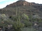 photo thumbnail #15