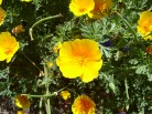 photo thumbnail #14