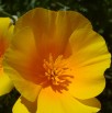 photo thumbnail #15