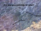 photo thumbnail #12