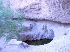 recent photo