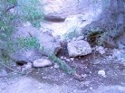 photo thumbnail #2