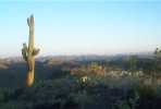 photo thumbnail #9