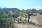 photo thumbnail #6