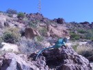 photo thumbnail #5