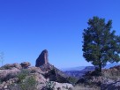 photo thumbnail #15