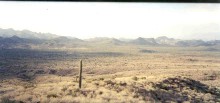 photo thumbnail #2