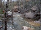 photo thumbnail #8