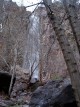 photo of comment