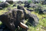 photo thumbnail #10