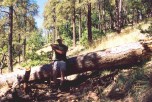 photo thumbnail #5