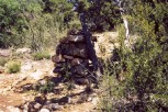 photo thumbnail #7