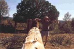 photo thumbnail #5