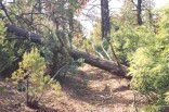 photo thumbnail #4