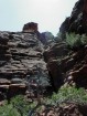 photo thumbnail #11