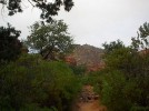 photo thumbnail #14