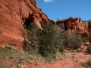 photo thumbnail #14