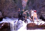 photo thumbnail #11