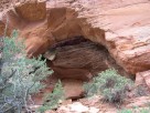 photo thumbnail #4