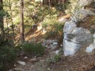 photo thumbnail #1