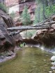photo thumbnail #2