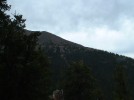 recent photo