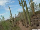 photo thumbnail #12