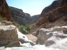 photo thumbnail #13