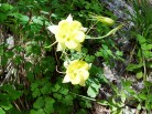 photo thumbnail #13