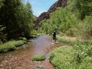 photo thumbnail #10