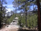 photo thumbnail #1