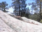 photo thumbnail #5