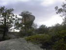 photo thumbnail #9