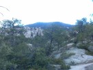 photo thumbnail #10