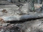 photo thumbnail #7