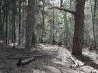 photo thumbnail #11