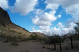 photo thumbnail #3