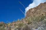photo thumbnail #5