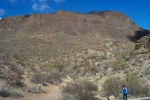 photo thumbnail #8